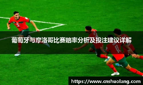 葡萄牙与摩洛哥比赛赔率分析及投注建议详解